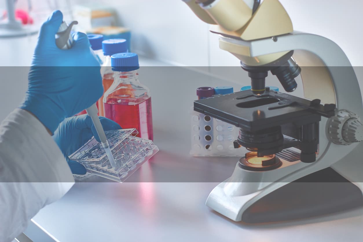Plaque multipuits utilisée lors d'un test in vitro chez Eurosafe