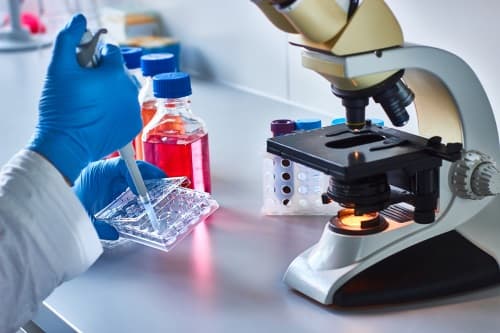 Pipetage d'échantillons pour une étude ADME in vitro dans le laboratoire Eurosafe