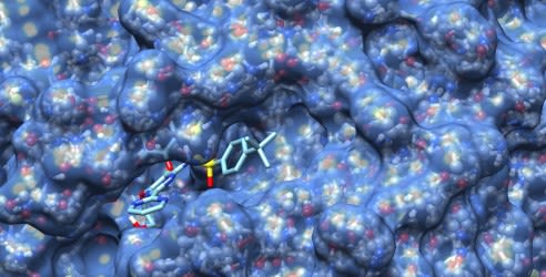 Représentation d'un ligand amarré dans le site actif d'une protéine