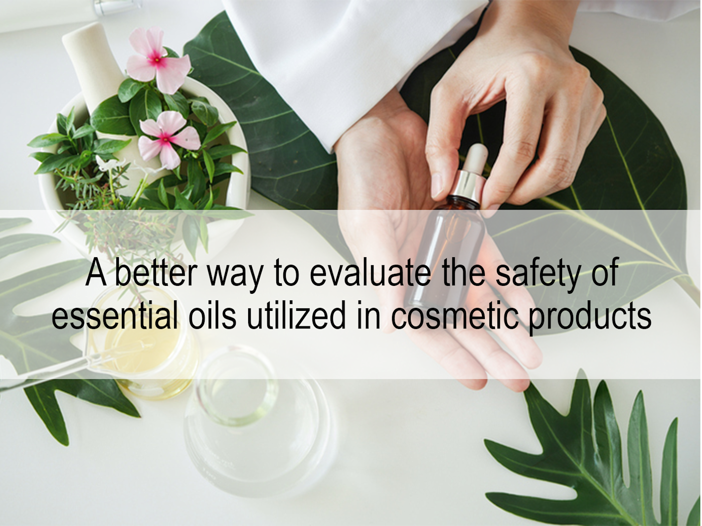 Eurosafe customized expertise approach for the safety evaluation of essential oils